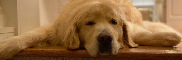 michael_vaughan Profile Banner