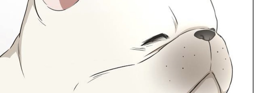 냉곤대_ㅌㅊㅅ banner