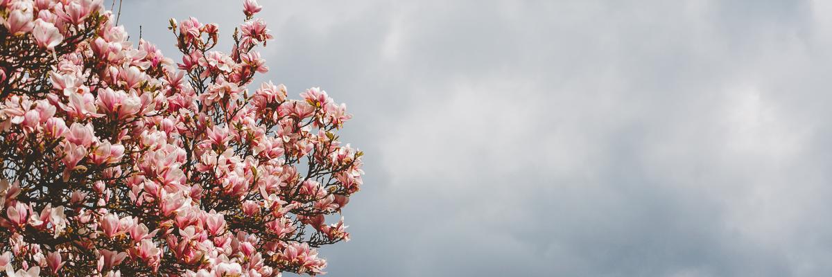 Nathalie Carter 💙🇺🇦 banner