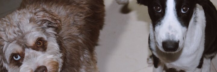 gaabimora's profile banner image