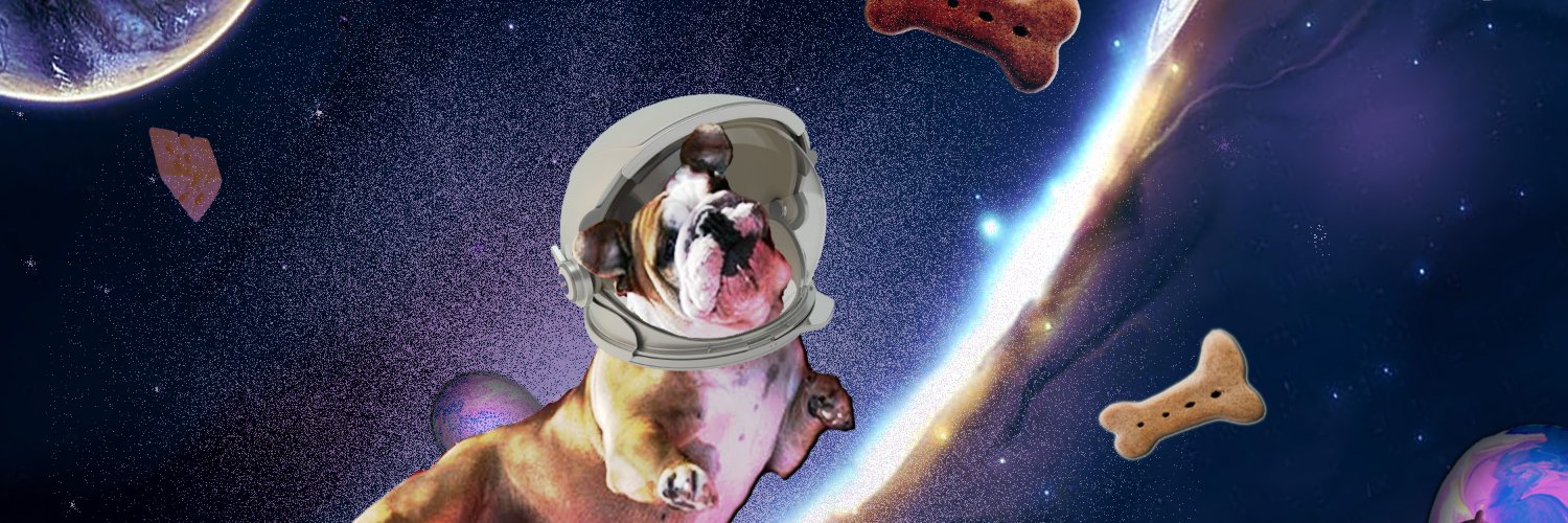 nikoletl's profile banner image