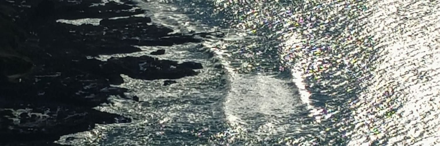 acrylskarrlett's profile banner image