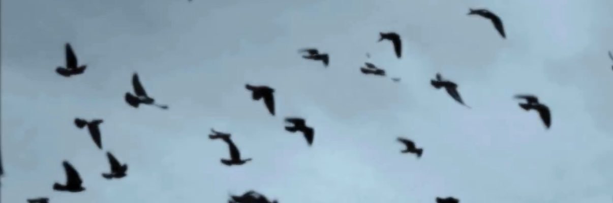 sickmockil's profile banner image