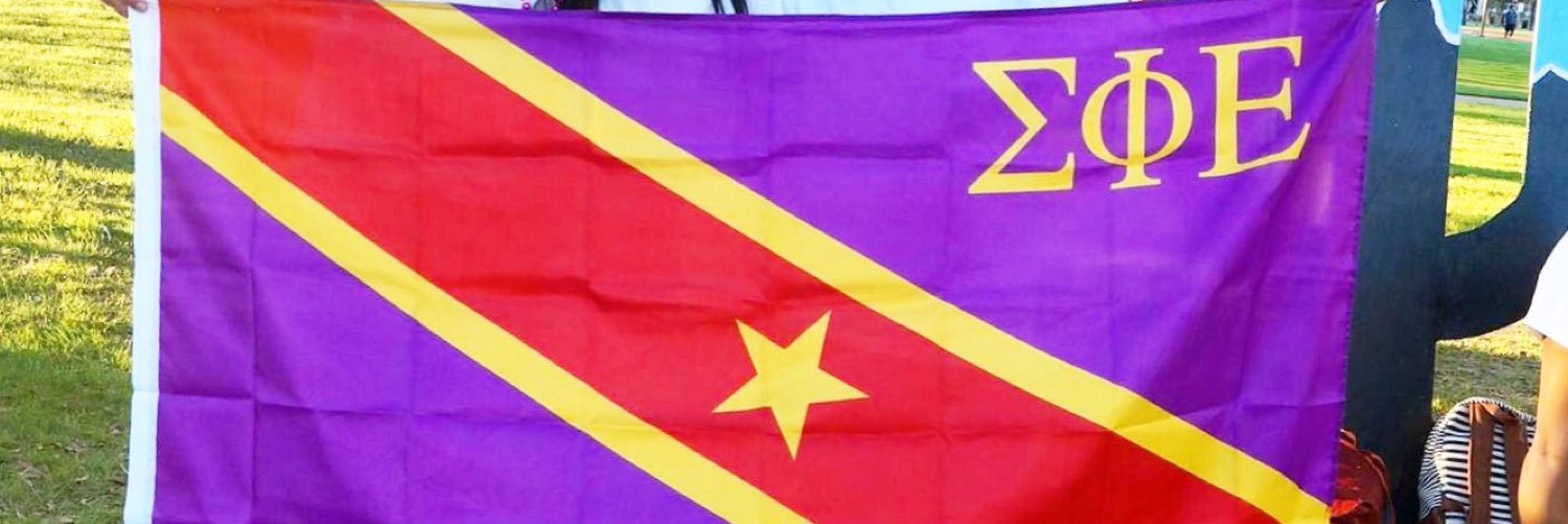 SigEp Texas Delta banner