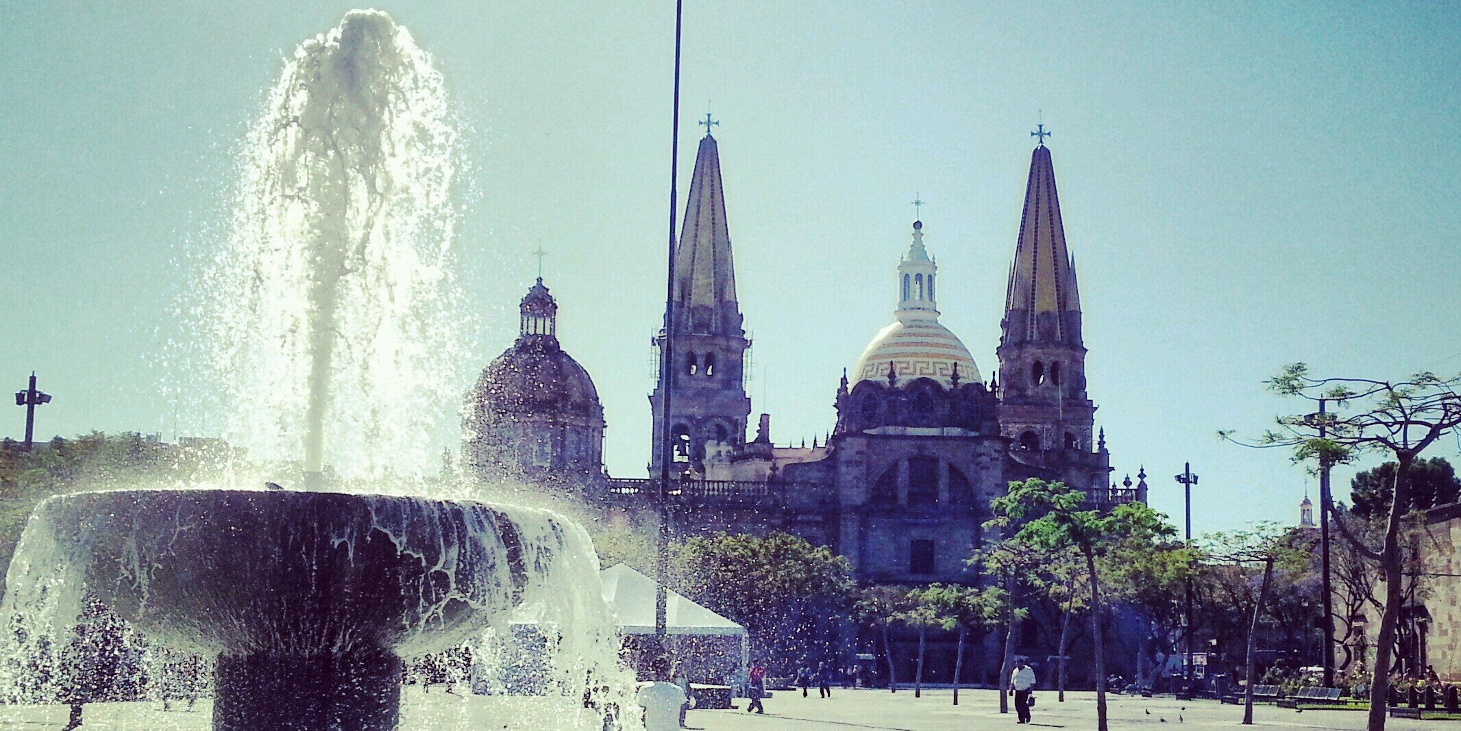 Mario Contreras banner