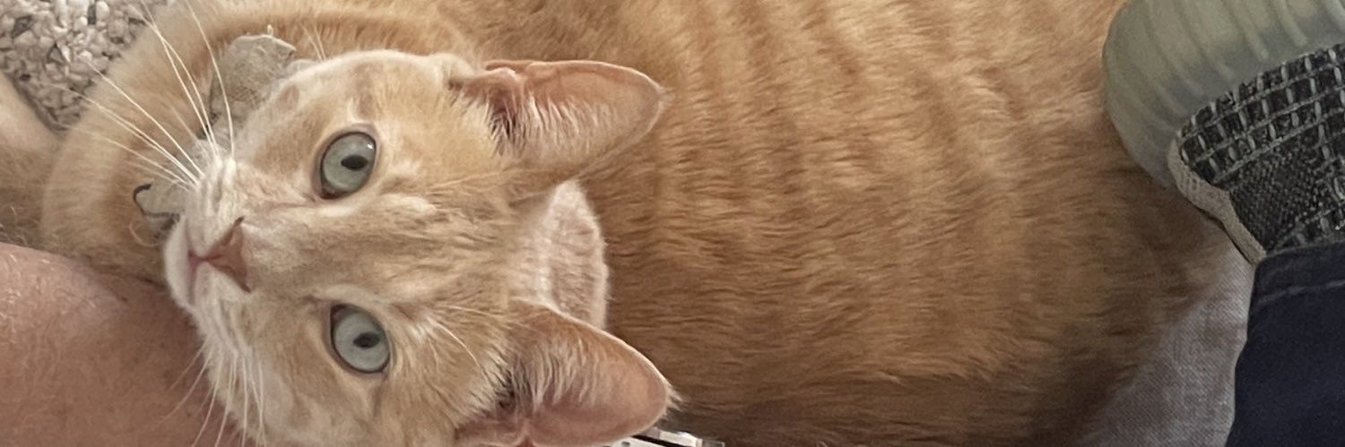 Bubblegum Bitch banner