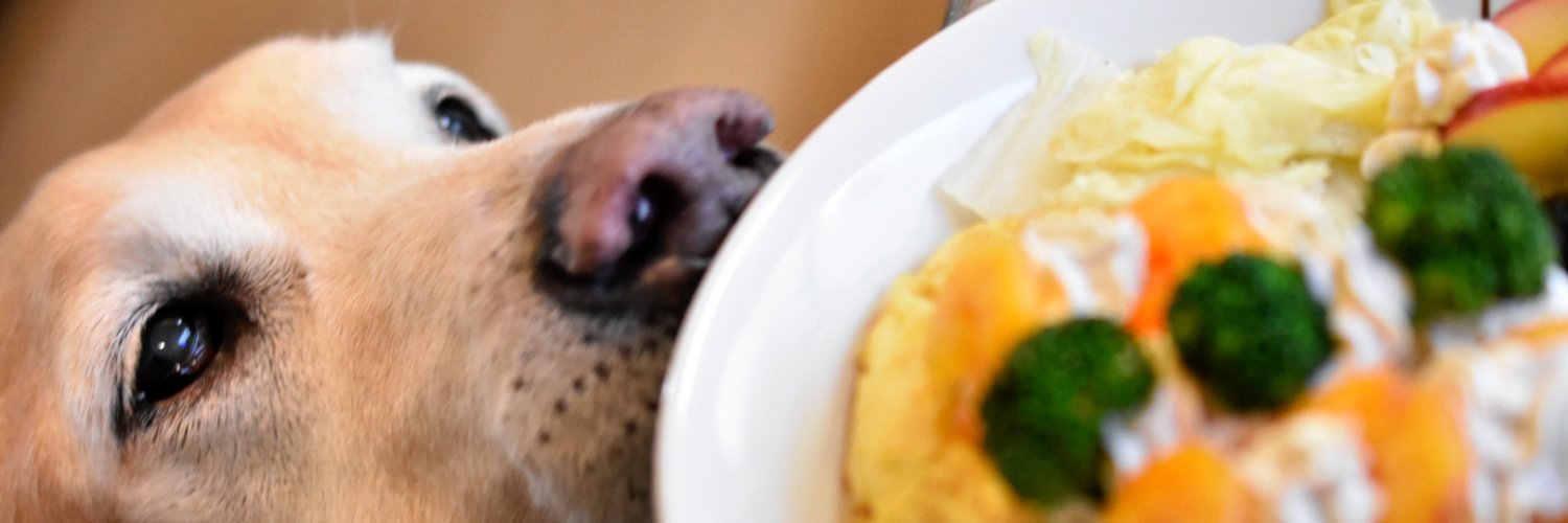 amaronnmama's profile banner image