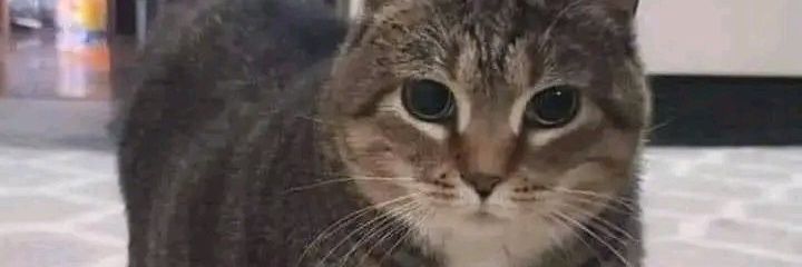aTomowy86's banner