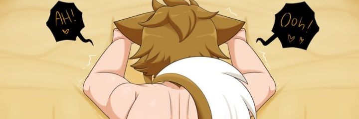 Twilight Prince banner