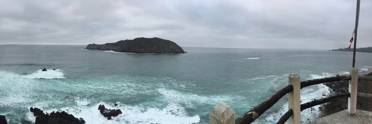 David Gabriel banner