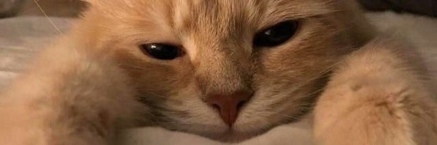 m banner