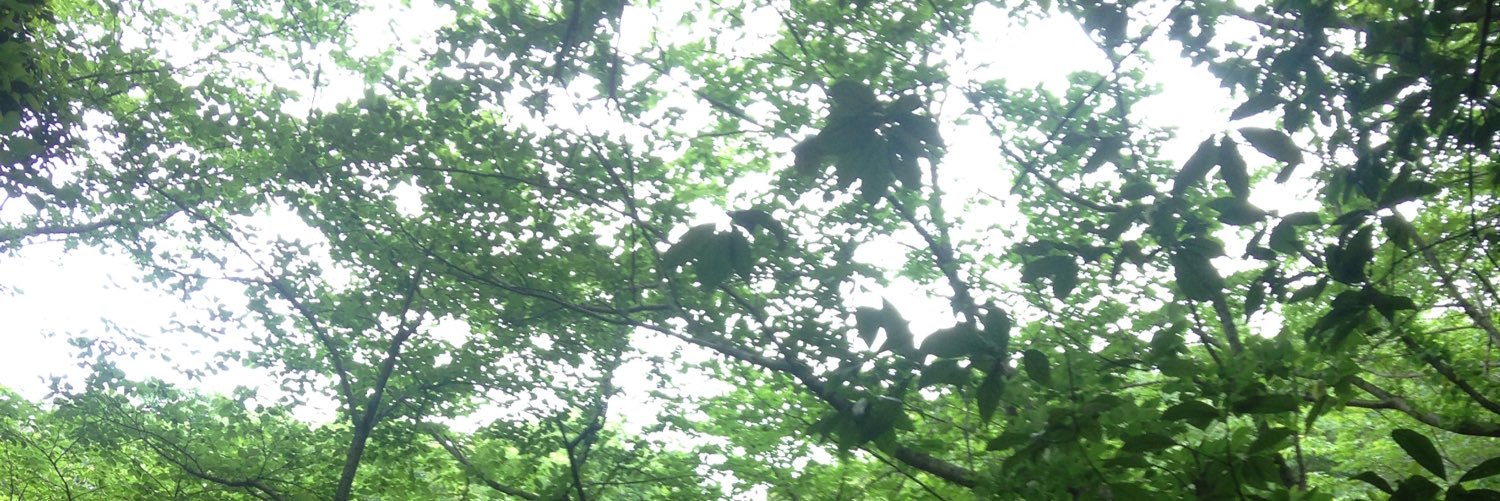 tamas0317's profile banner image