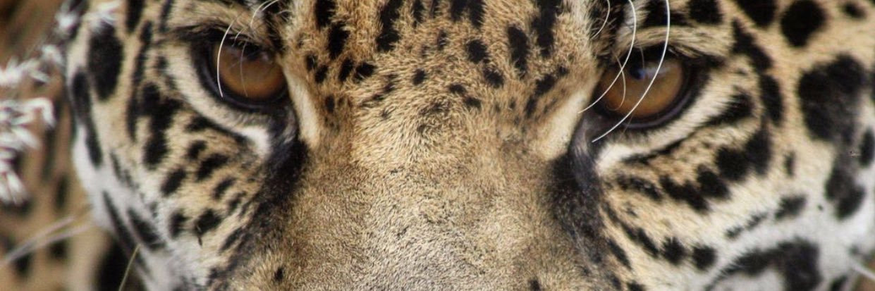 Mabrrs12's profile banner image