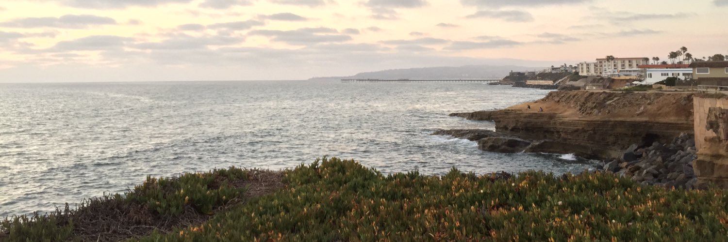therealig's profile banner image