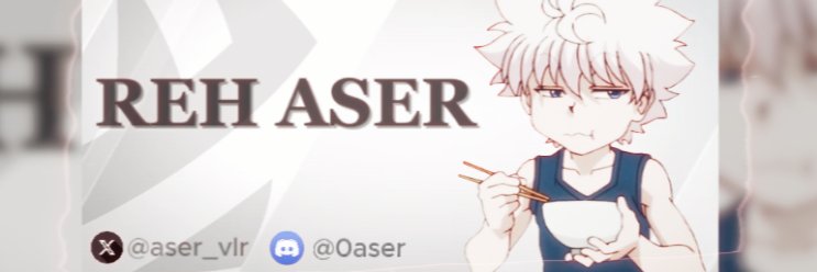 Aser banner