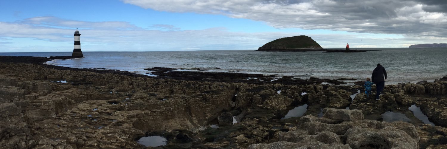 Rachel Crumpler banner