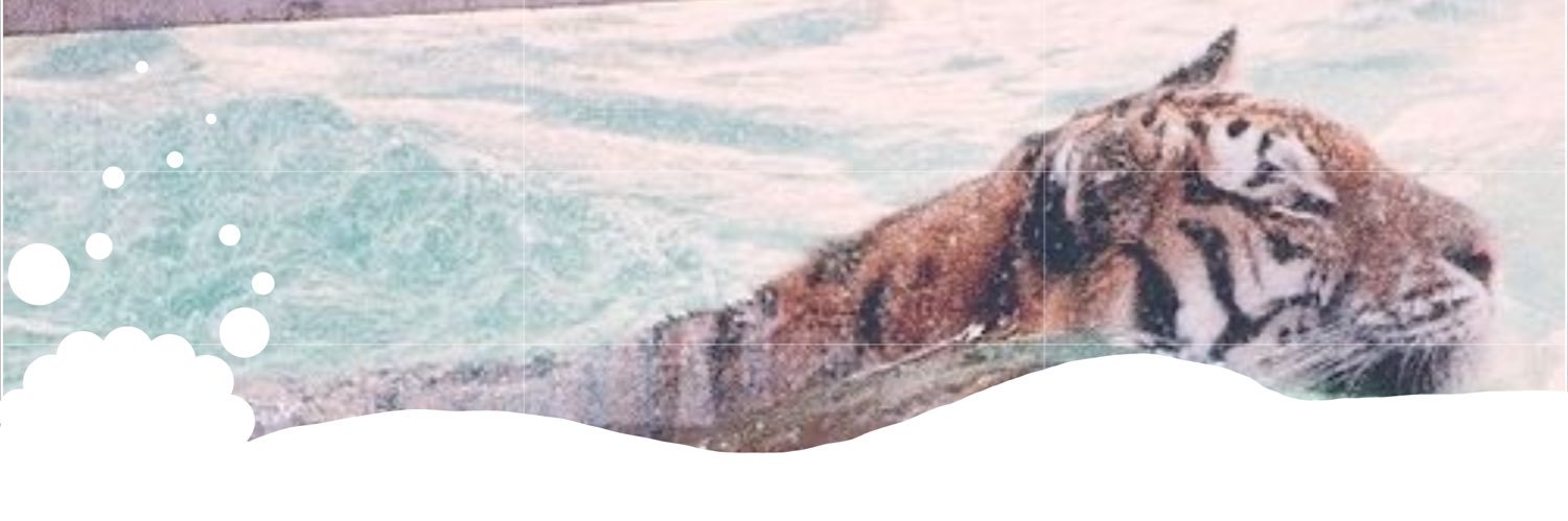 🍁˖ ᡣ𐭩 ⊹ ࣪ ౨ৎ˚₊ star code amber ✧˚ · .🌲 banner