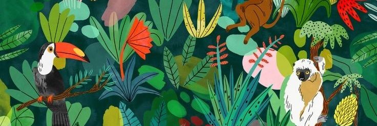 TriniUCV's profile banner image