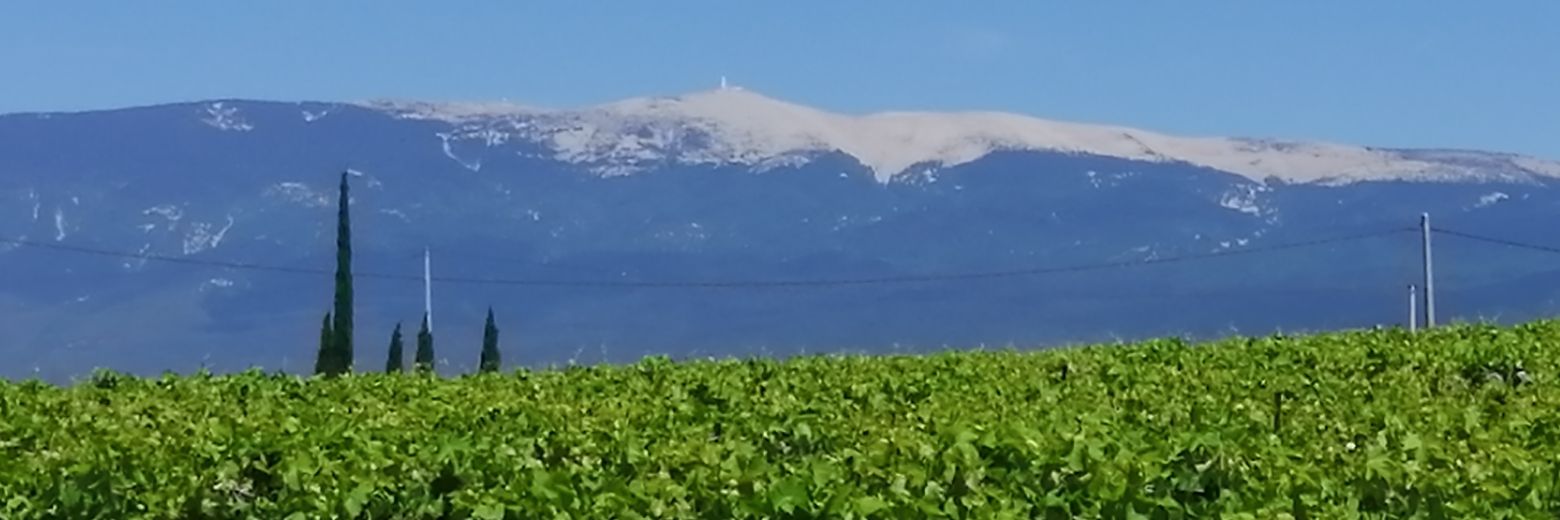 Ceekaye's profile banner image