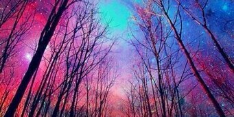 tranfaso_'s profile banner image