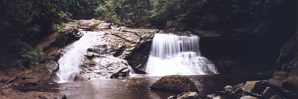 lfisk Profile Banner