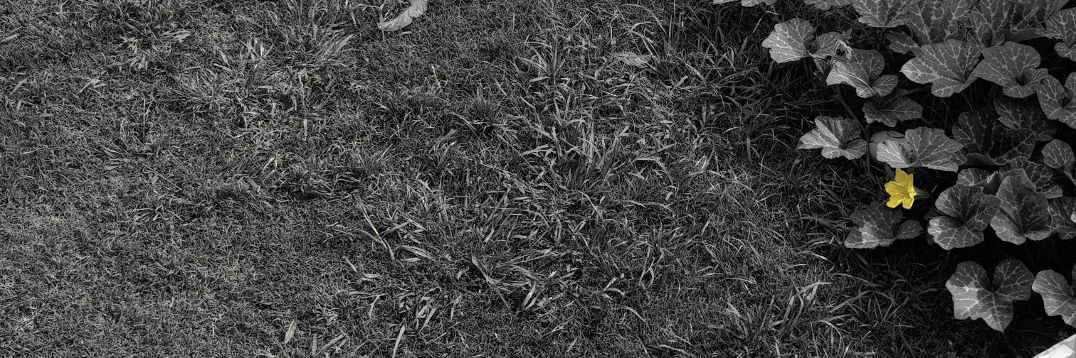 Fuckundo___'s profile banner image