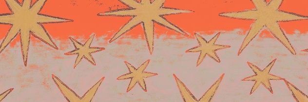 pznkponyguy's profile banner image