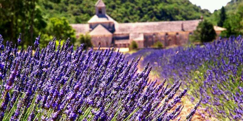 Elie1409's profile banner image