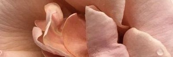 kombetclip Profile Banner