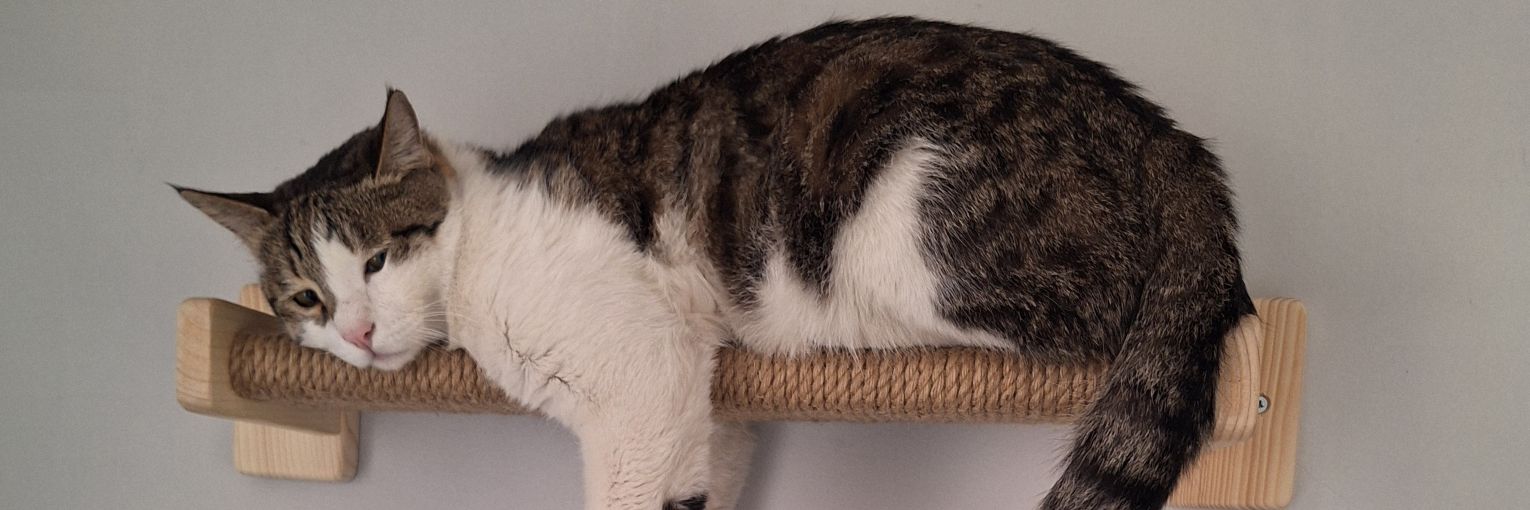 صرفا آدمیزاد banner