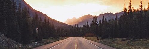 شین.‌رِ's banner
