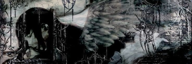 lipss banner