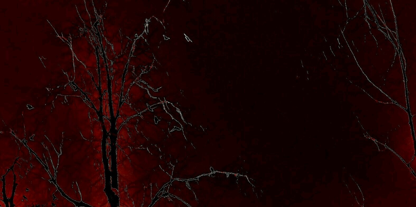 plaker13's profile banner image