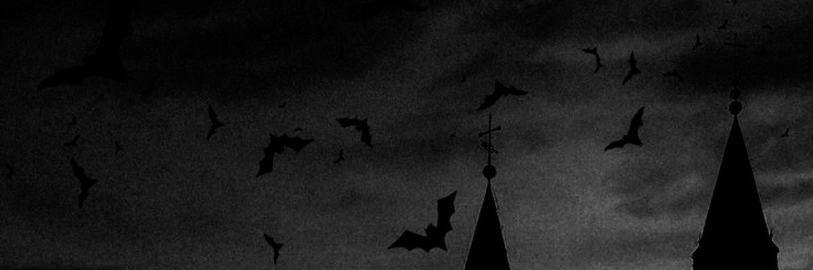 D🗡️🖤's banner
