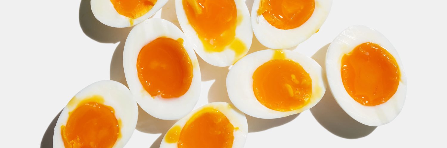 กูเป็นไข่? banner