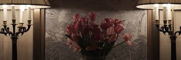 falsettwoz Profile Banner