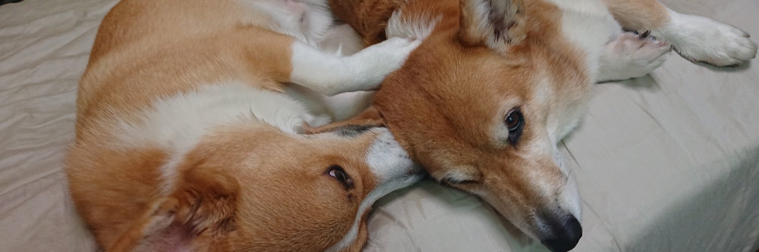 tomoomchi's profile banner image