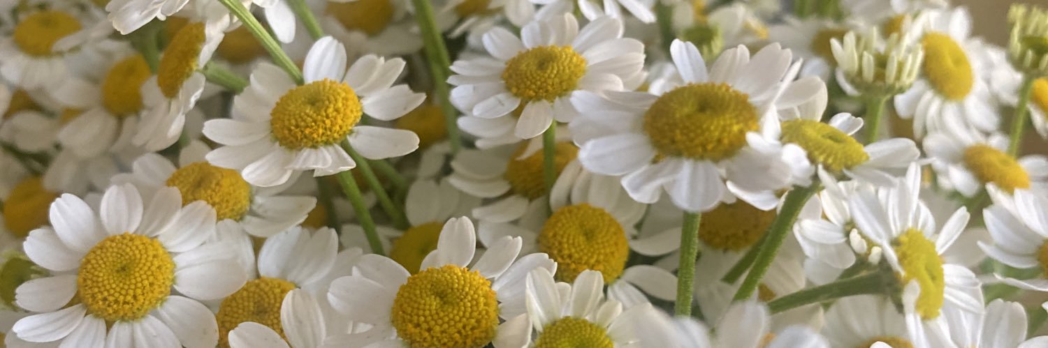 L20282028's profile banner image