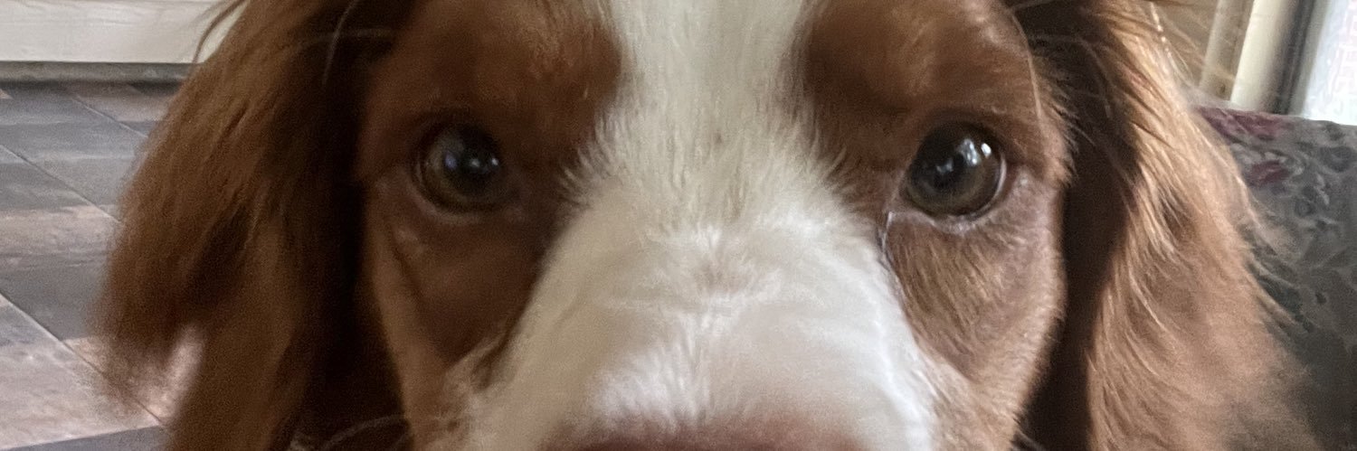 hcferree's profile banner image