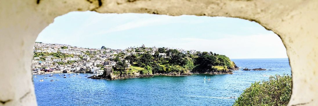 Lewis 🦠🧬🌈 banner