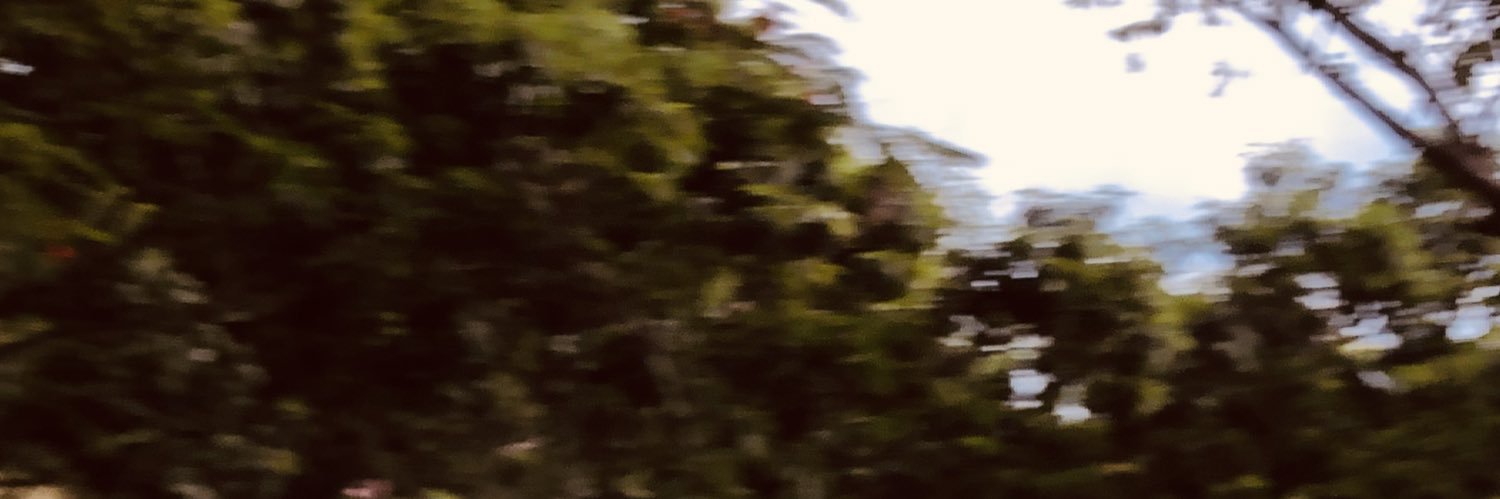 bunheadmak's profile banner image