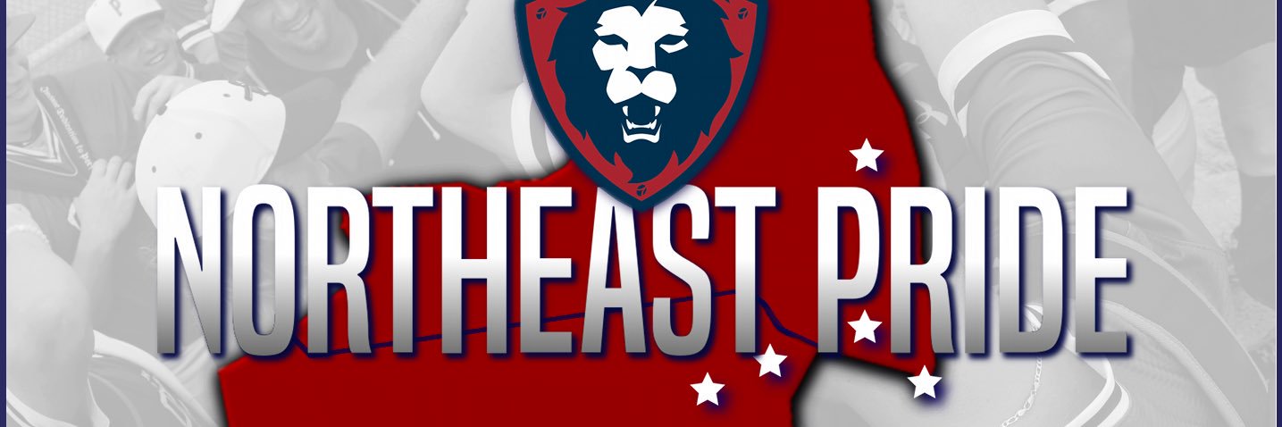 NEPridebaseball banner