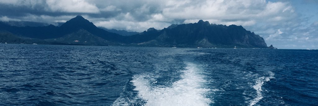 AL_PAL52's profile banner image