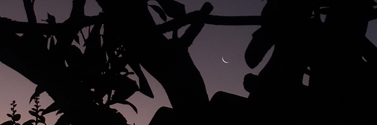 cecidinegr's profile banner image