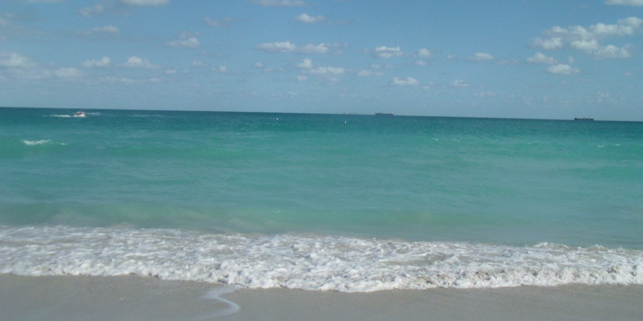 Dr. Lin. Woods banner