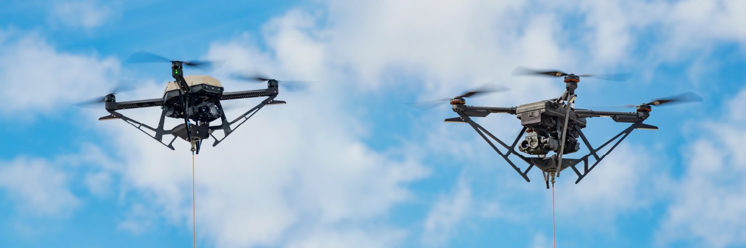 Hoverfly banner