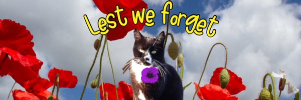 Charliebear2508 Profile Banner