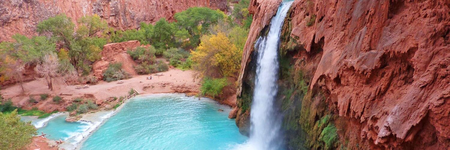 Taylor Campbell banner