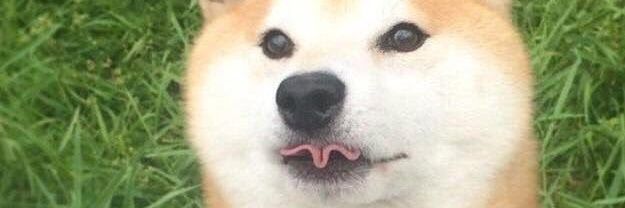 _dksosh's profile banner image