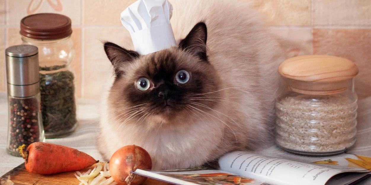 Christopher Dean banner